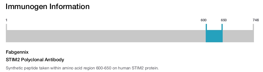 STIM2 Polyclonal Antibody