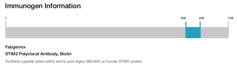 STIM2 Polyclonal Antibody, Biotin