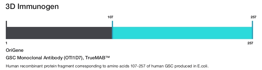 GSC Monoclonal Antibody (OTI1D7), TrueMAB&trade;