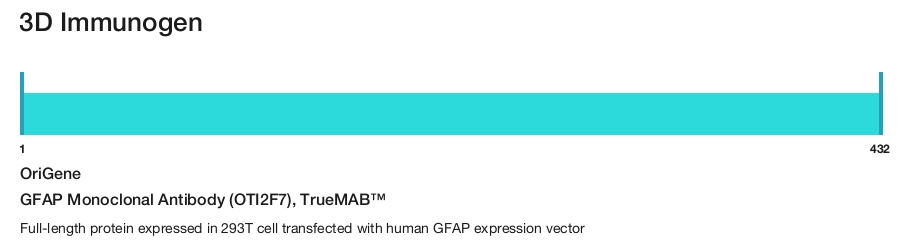 GFAP Monoclonal Antibody (OTI2F7), TrueMAB&trade;