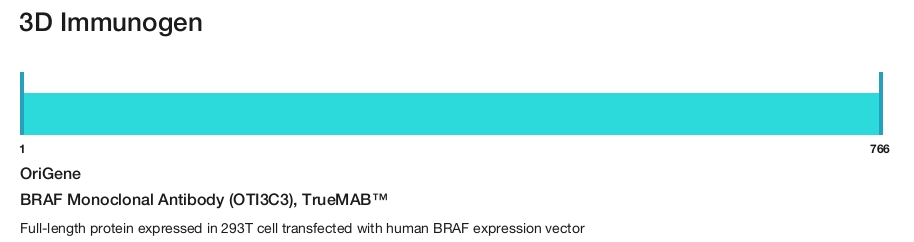 BRAF Monoclonal Antibody (OTI3C3), TrueMAB&trade;