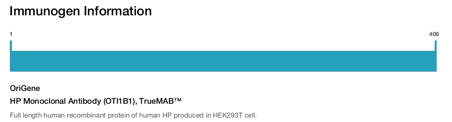 HP Monoclonal Antibody (OTI1B1), TrueMAB™
