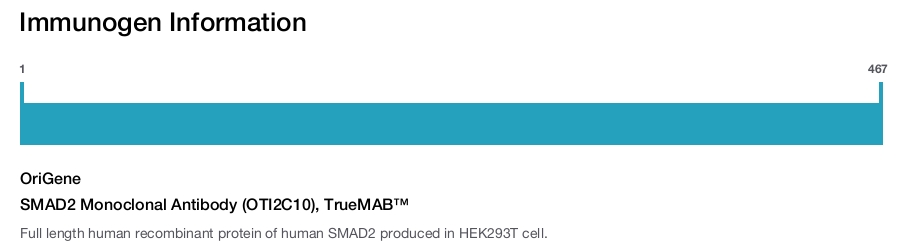 SMAD2 Monoclonal Antibody (OTI2C10), TrueMAB™
