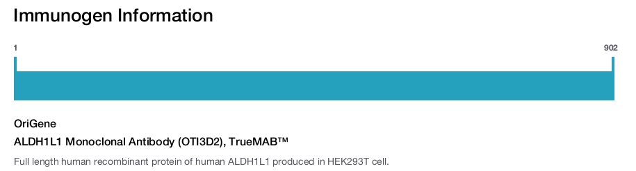 ALDH1L1 Monoclonal Antibody (OTI3D2), TrueMAB™