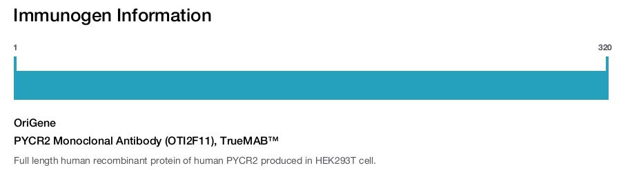 PYCR2 Monoclonal Antibody (OTI2F11), TrueMAB™