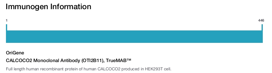 CALCOCO2 Monoclonal Antibody (OTI2B11), TrueMAB™