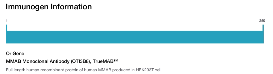 MMAB Monoclonal Antibody (OTI3B8), TrueMAB™