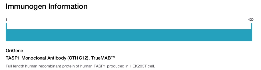 TASP1 Monoclonal Antibody (OTI1C12), TrueMAB™