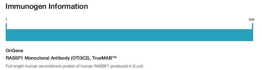 RASSF1 Monoclonal Antibody (OTI3C2), TrueMAB™