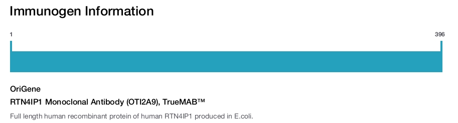 RTN4IP1 Monoclonal Antibody (OTI2A9), TrueMAB™