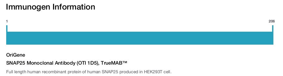 SNAP25 Monoclonal Antibody (OTI 1D5), TrueMAB™