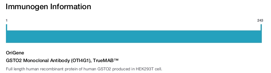 GSTO2 Monoclonal Antibody (OTI4G1), TrueMAB&trade;