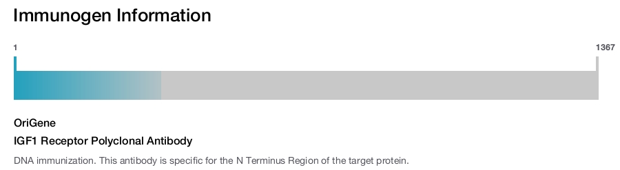 IGF1 Receptor Polyclonal Antibody