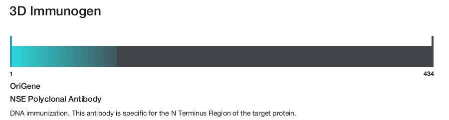 NSE Polyclonal Antibody