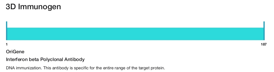Interferon beta Polyclonal Antibody