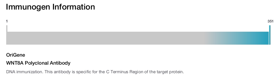 WNT8A Polyclonal Antibody