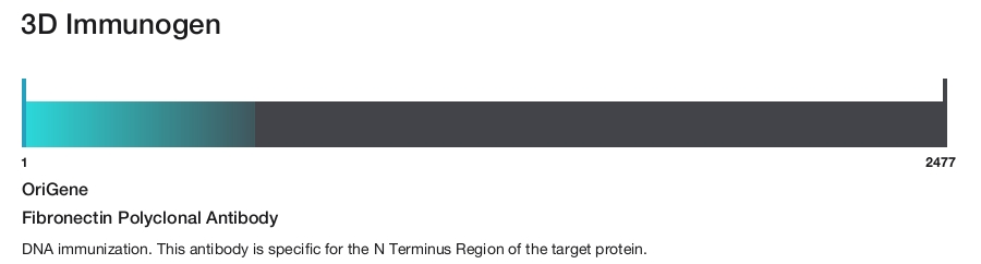 Fibronectin Polyclonal Antibody