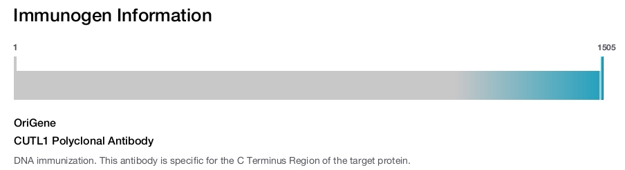 CUTL1 Polyclonal Antibody