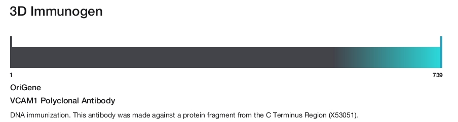 VCAM1 Polyclonal Antibody