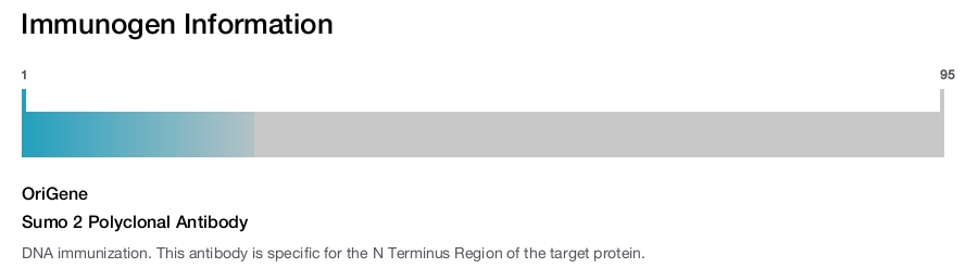 Sumo 2 Polyclonal Antibody