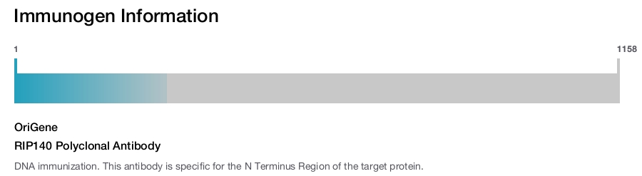 RIP140 Polyclonal Antibody