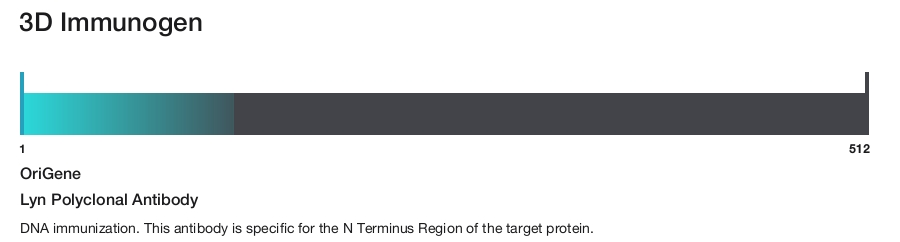 Lyn Polyclonal Antibody