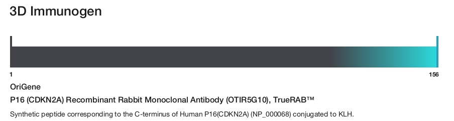 P16 (CDKN2A) Recombinant Rabbit Monoclonal Antibody (OTIR5G10), TrueRAB&trade;