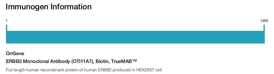 ERBB2 Monoclonal Antibody (OTI11A7), Biotin, TrueMAB™