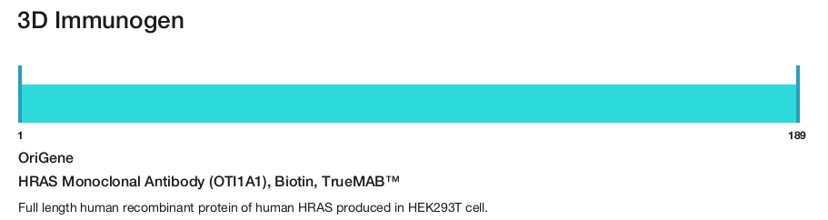 HRAS Monoclonal Antibody (OTI1A1), Biotin, TrueMAB&trade;