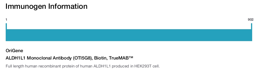 ALDH1L1 Monoclonal Antibody (OTI5G8), Biotin, TrueMAB™