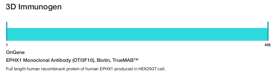 EPHX1 Monoclonal Antibody (OTI3F10), Biotin, TrueMAB&trade;