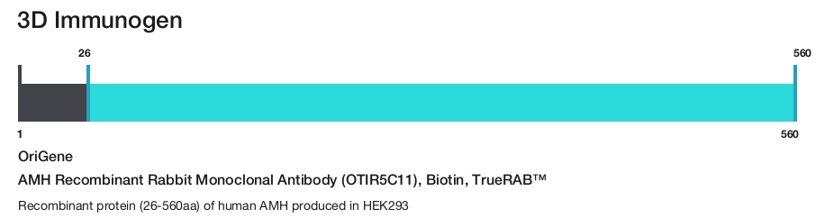 AMH Recombinant Rabbit Monoclonal Antibody (OTIR5C11), Biotin, TrueRAB&trade;