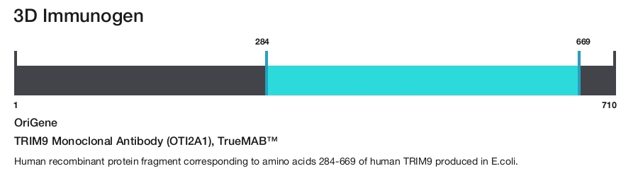 TRIM9 Monoclonal Antibody (OTI2A1), TrueMAB&trade;