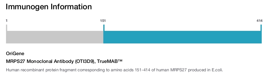 MRPS27 Monoclonal Antibody (OTI3D9), TrueMAB™