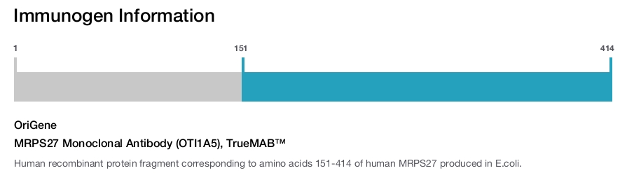 MRPS27 Monoclonal Antibody (OTI1A5), TrueMAB™