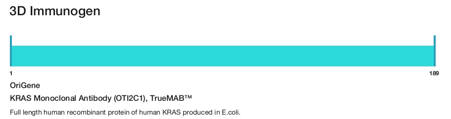 KRAS Monoclonal Antibody (OTI2C1), TrueMAB&trade;