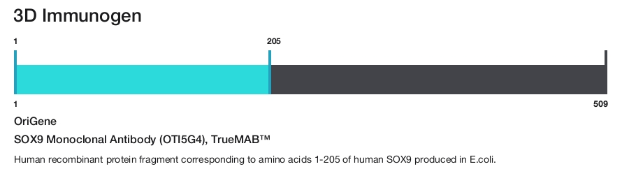 SOX9 Monoclonal Antibody (OTI5G4), TrueMAB&trade;