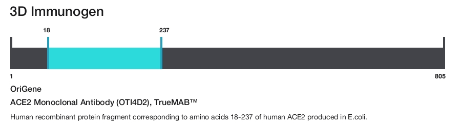 ACE2 Monoclonal Antibody (OTI4D2), TrueMAB&trade;