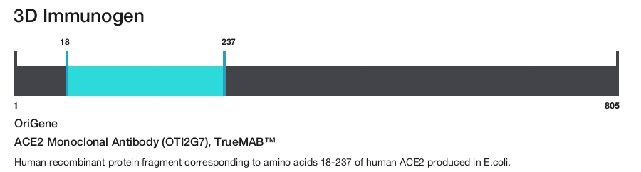 ACE2 Monoclonal Antibody (OTI2G7), TrueMAB&trade;