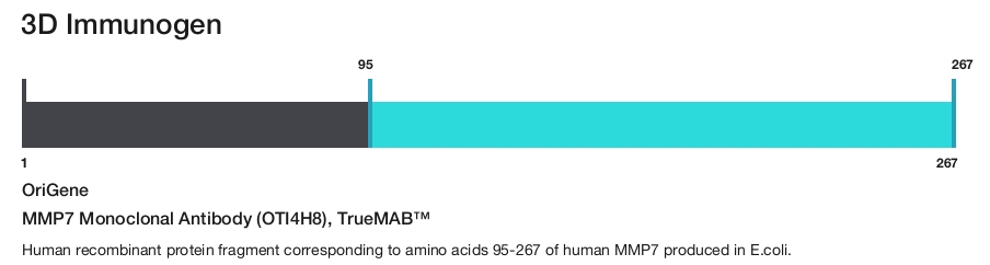 MMP7 Monoclonal Antibody (OTI4H8), TrueMAB&trade;