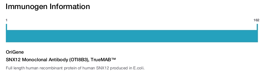 SNX12 Monoclonal Antibody (OTI8B3), TrueMAB™