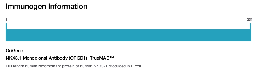 NKX3.1 Monoclonal Antibody (OTI6D1), TrueMAB™