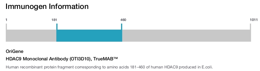 HDAC9 Monoclonal Antibody (OTI3D10), TrueMAB™