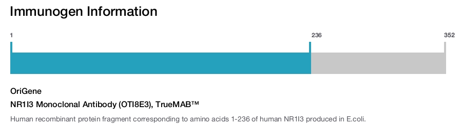 NR1I3 Monoclonal Antibody (OTI8E3), TrueMAB™