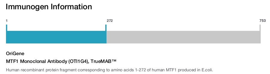 MTF1 Monoclonal Antibody (OTI1G4), TrueMAB™