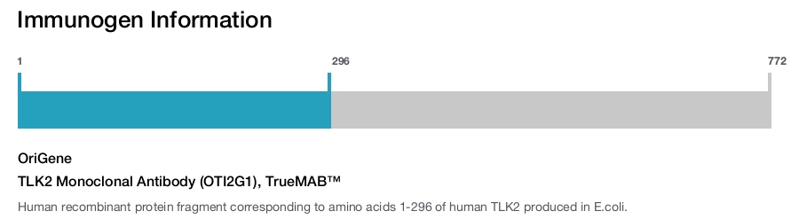 TLK2 Monoclonal Antibody (OTI2G1), TrueMAB™