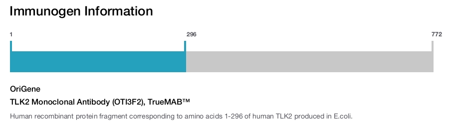 TLK2 Monoclonal Antibody (OTI3F2), TrueMAB™
