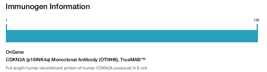CDKN2A (p16INK4a) Monoclonal Antibody (OTI9H8), TrueMAB™