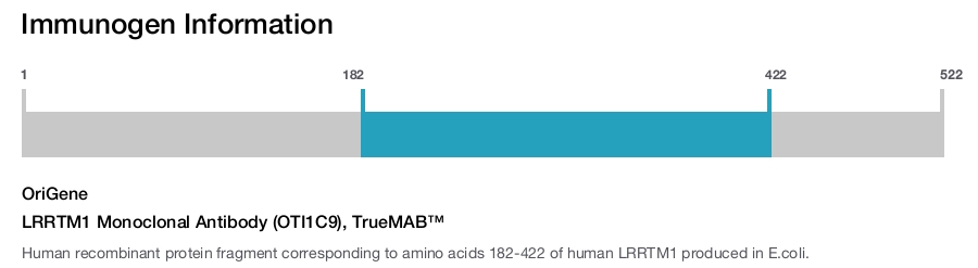 LRRTM1 Monoclonal Antibody (OTI1C9), TrueMAB™