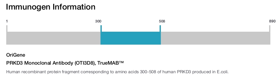 PRKD3 Monoclonal Antibody (OTI3D8), TrueMAB™